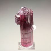 gem TOURMALINE var. ELBAITE, LEPIDOLITE