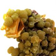 Wulfenite + Mimetite.