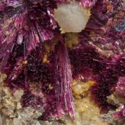 Erythrite with Phlogopite and Quartz