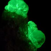 Opal var. hyalite CRAZY FLUORESCENCE