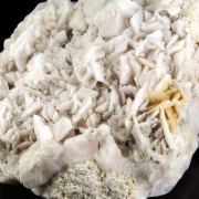 Calcite var. Manganoancalcite