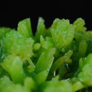 Pyromorphite