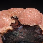 Rhodochrosite with Hisingerite-Neotocite (Series)