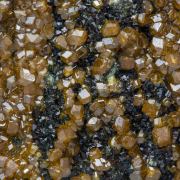 Andradite (variety topazolite) with Clinochlore