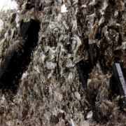 Tourmaline Dravite + Muscovite.