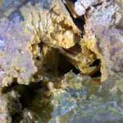 Paramendozavilite (TL)