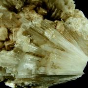 Powellite on Scolecite with Apophyllite