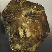 Phlogopite