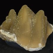 Smithsonite after Calcite with Calcite