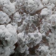 Imayoshiite and Tobermorite (Group) with Fluorapophyllite-(K) and Datolite (bakerite variety)