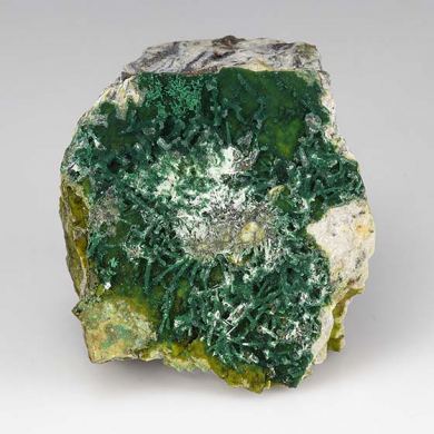 Cornwallite with Olivenite, Chenevixite