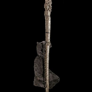 Pyrite ps. Baculites yokayamai