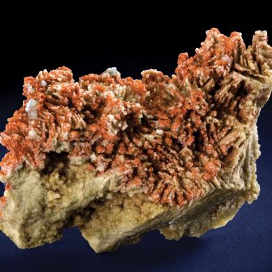 Hilgardite on Boracite