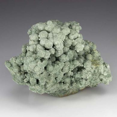 Glauconite in Calcareous Sandstone