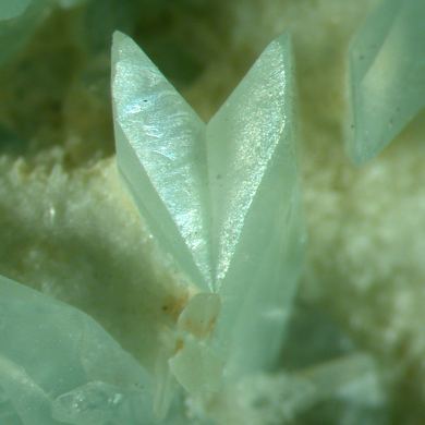 Phosphophyllite / (classic textbook twins) / with Siderite & Sphalerite