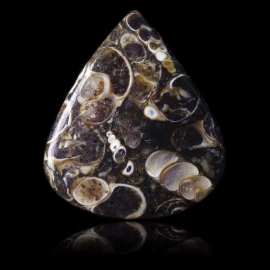 Turritella Agate 38,30 ct 