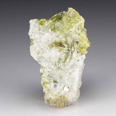Phlogopite mixed with Lizardite, Antigorite