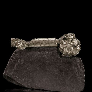 Pyrite on Pyrite ps. Baculites yokayamai