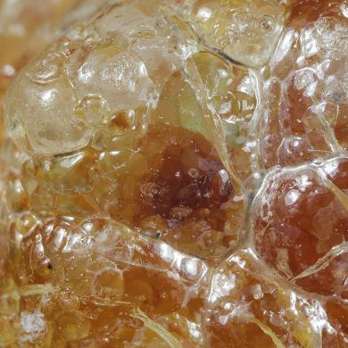 Opal / (variety - “Opal-AN”) / (variety - “Hyalite Opal”) / (“Blood Vessel Opal”)