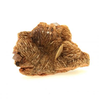 Wulfenite + Baryte + Fluorite.