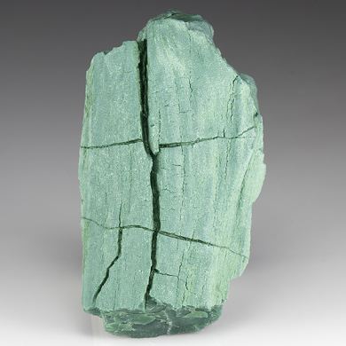 Quartz (Petrified Wood) with Cr-rich Mica