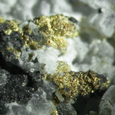 Gold with Coloradoite, Hessite and Sylvanite in Quartz