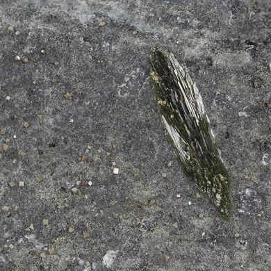 Chlorargyrite with Olivenite