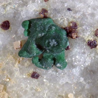 Pharmacosiderite, Carminite, Malachite