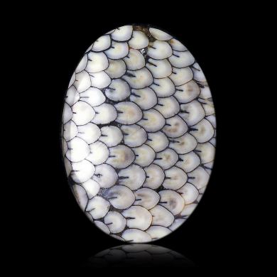 Snakeskin Agate 16,76 ct 