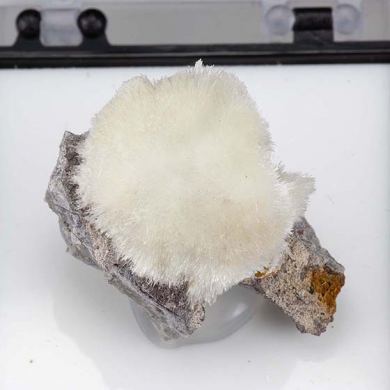 Minyulite with Variscite