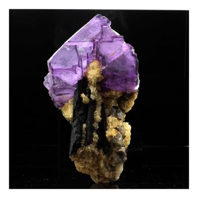 Fluorite + Ilvaite + Scheelite.