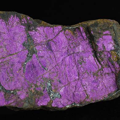 Purpurite
