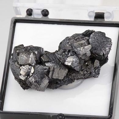 Ramsdellite with Pyrolusite