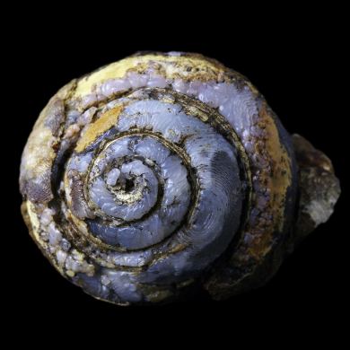 Helix in lussatite 
