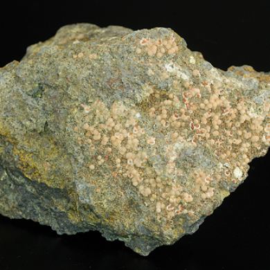 Phillipsite