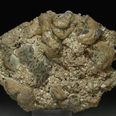 Siderite with Calcite and Sphalerite