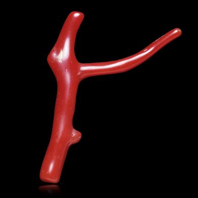 Red Coral 8,79 ct 