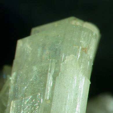 Paravauxite with Sigloite