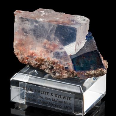 Blue Halite & Sylivite from Kerr McGee Mine, New Mexico