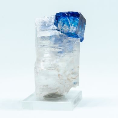 Halite & Sylvite
