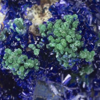 Philipsburgite with Azurite, Malachite