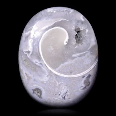 Agatized gastropod 37,60 ct 