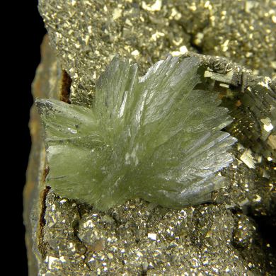 Ludlamite on Pyrite