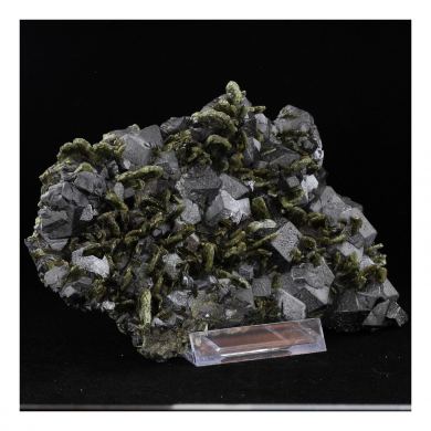 Diopside + Magnetite.