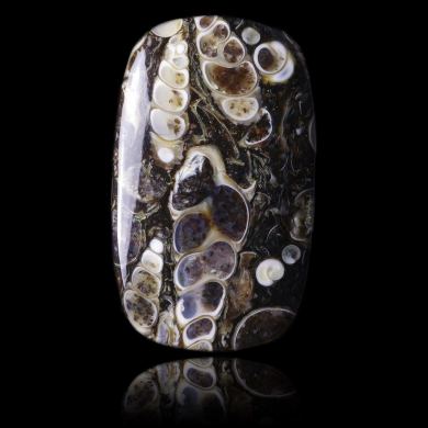 Turritella Agate 43,40 ct 