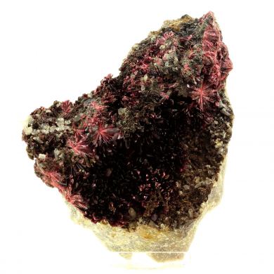 Erythrite + Phlogopite.
