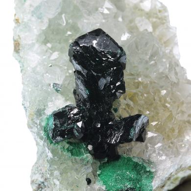 Paratacamite (rare) with Malachite