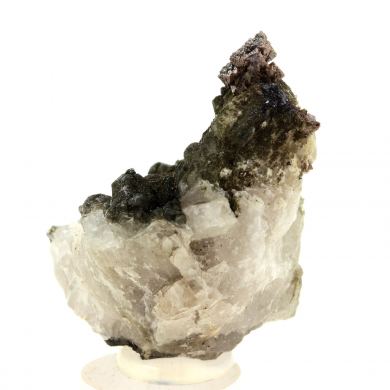 Anatase + Quartz + Chlorite.