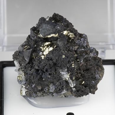 Chalcocite with Pyrite