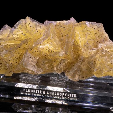 Large Yellow & Purple Phantom Fluorite w/ Chalcopyrite from Annabel Lee Mine